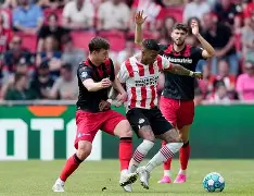 皇城突袭帮助弗雷多逃走