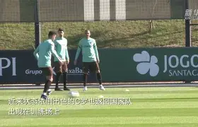 2006年世界杯意大利vs澳大利亚