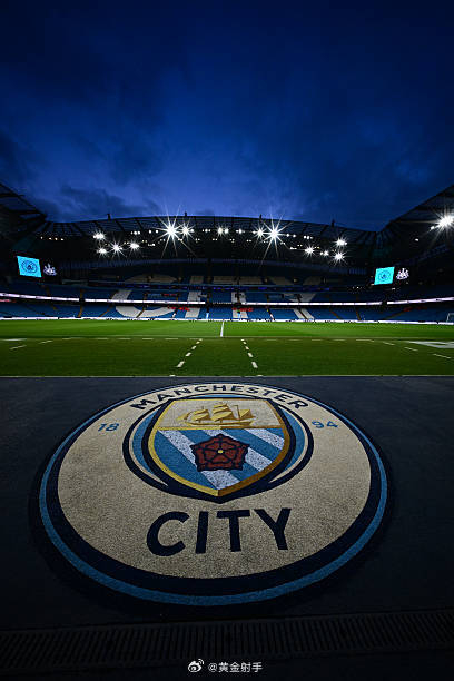 曼城中场阵容 曼城中场阵容